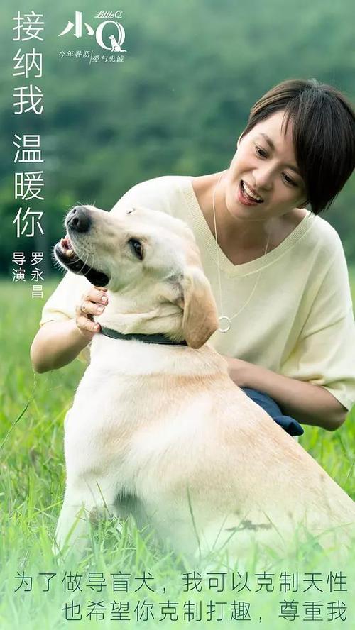 特种设备操作证需要什么资料